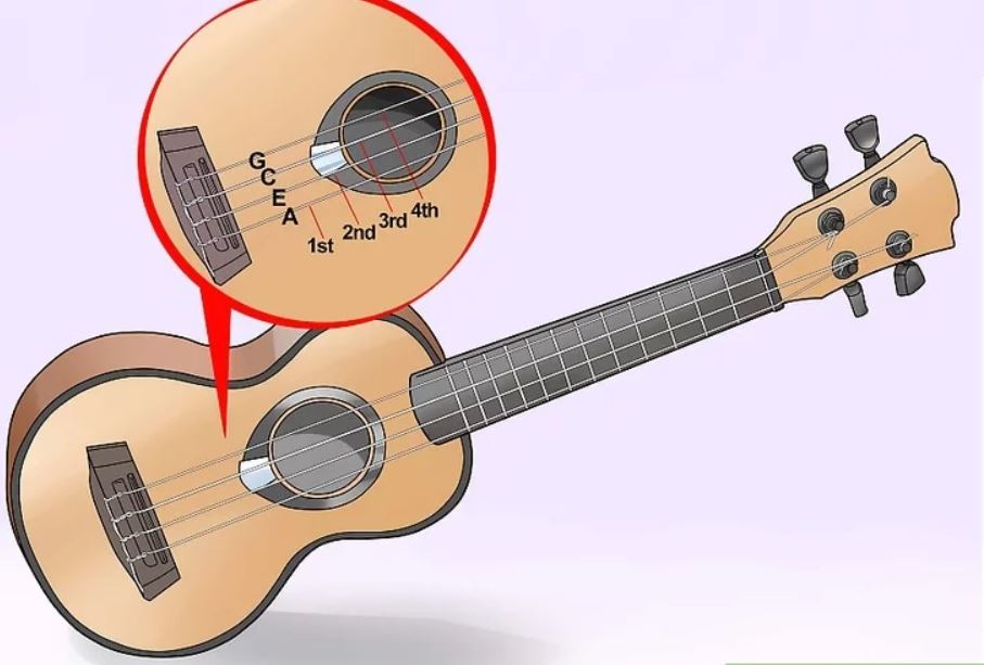 Cách Cầm Đàn và Bấm Hợp Âm Ukulele Cơ Bản Dễ Hiểu 3 Hướng Dẫn Cách Chỉnh Dây Đàn Ukulele Đơn Giản - Nhạc Cụ Tiến Mạnh