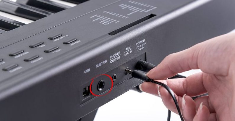 Cách sử dụng pedal sustain organ hiệu quả và chuyên nghiệp