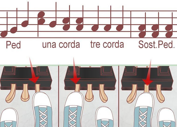 Tìm hiểu về pedal piano & cách sử dụng pedal piano