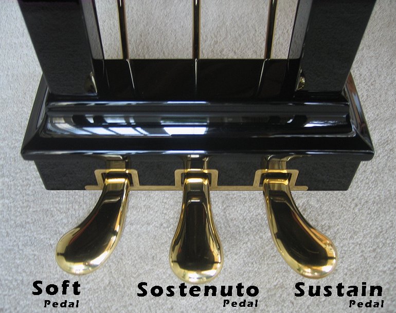 3 pedal của đàn piano là gì và cách sử dụng