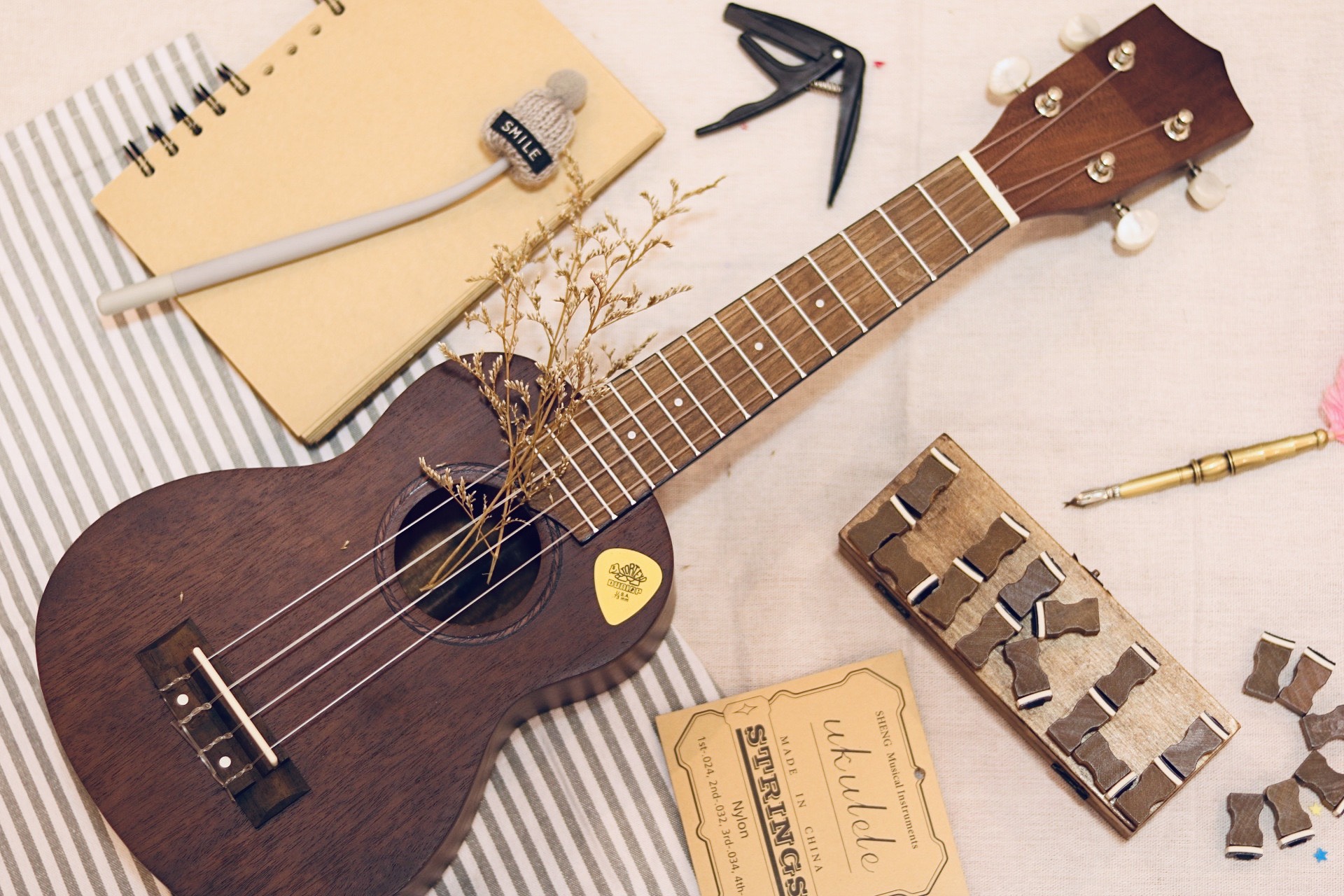 Hướng Dẫn Cách Thay Dây Đàn Ukulele Chi Tiết Tại Nhà 4 Nguyên nhân và cách chỉnh dây Đàn Ukulele bị rè | THU NHẠC