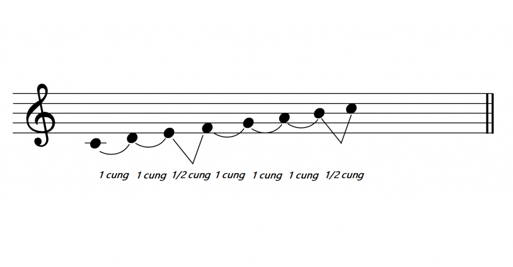 cung va nua cung 1024x534 1