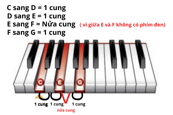 Hợp Âm Đảo Là Gì? Tìm Hiểu Về Thế Đảo Hợp Âm 3 Hợp âm piano, hợp âm thể đảo và những quy tắc bạn cần ghi nhớ