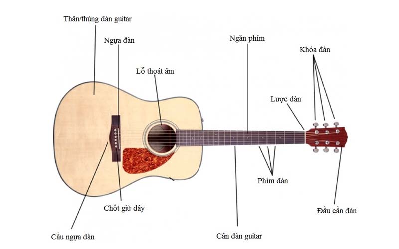 Ukulele Là Gì? Có Mấy Loại (soprano, Concert, Tennor,..) Và Cách Chơi -  Soundthinks - Âm Thanh Nhạc Cụ Chính Hãng