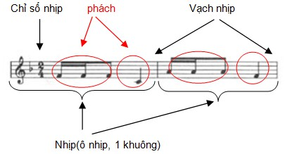 Nhịp phách là gì? Tất tần tật từ A-Z | C-FLY MUSIC