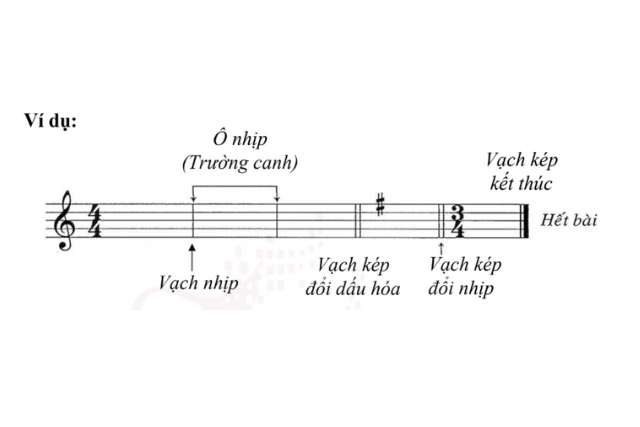 Trường độ là gì? Hình nốt nhạc, nhịp phách và nhạc lý cơ bản - THU NHẠC