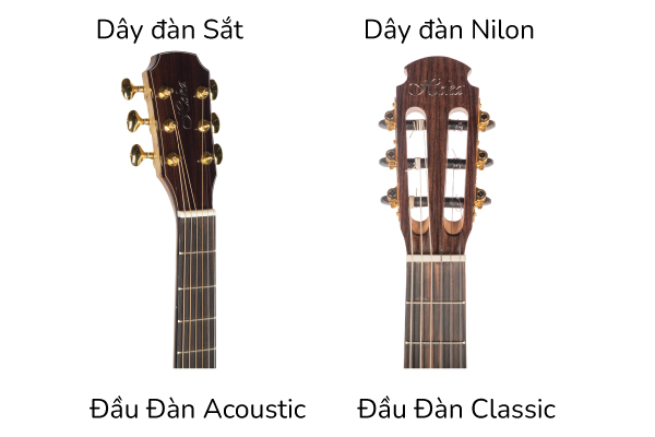 Cách Nhận Biết Đàn Guitar Acoustic Và Classic, Chọn Đàn Nào?