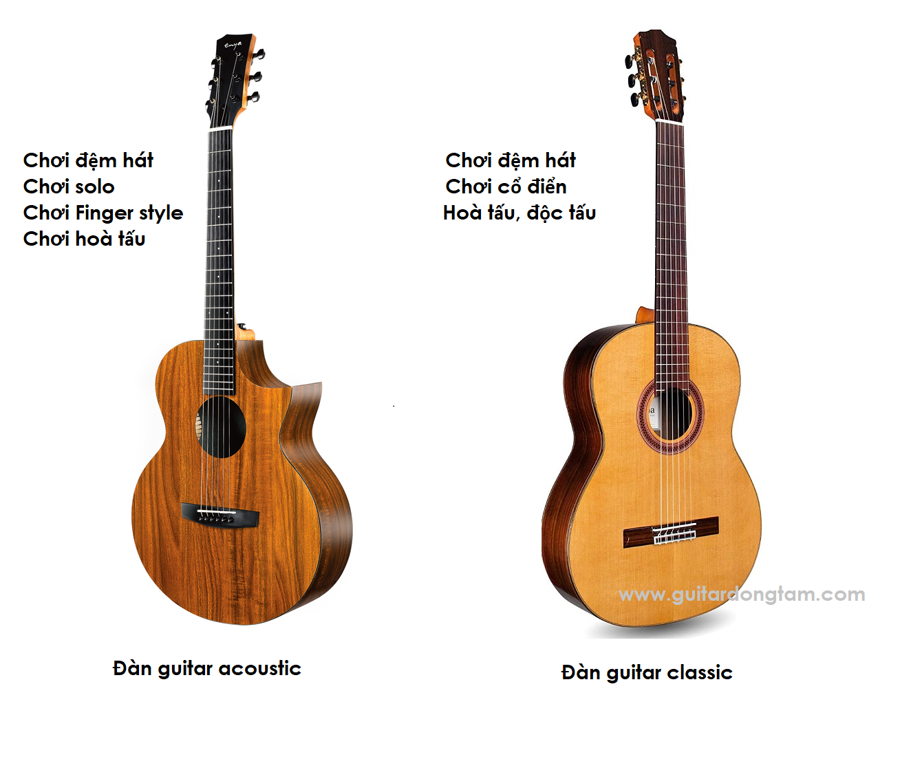 Đàn guitar acoustic và classic | Mua loại nào ? Bảng giá