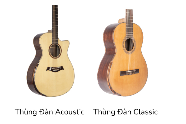 Cách Nhận Biết Đàn Guitar Acoustic Và Classic, Chọn Đàn Nào?