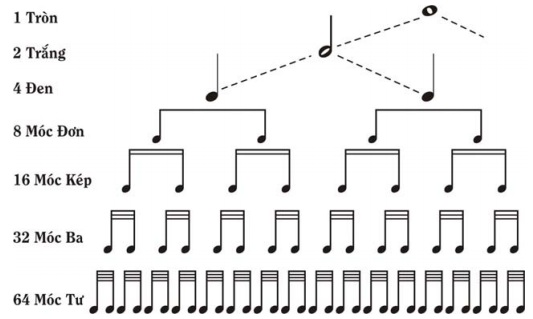 Bài 3 – Độ dài (Trường độ) | Luyện thi âm nhạc